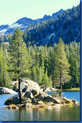 Highway 88 Fall Colors-062