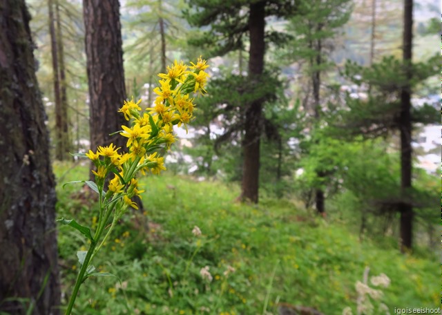 Hiking the AHV Weg trail in Zermatt. 