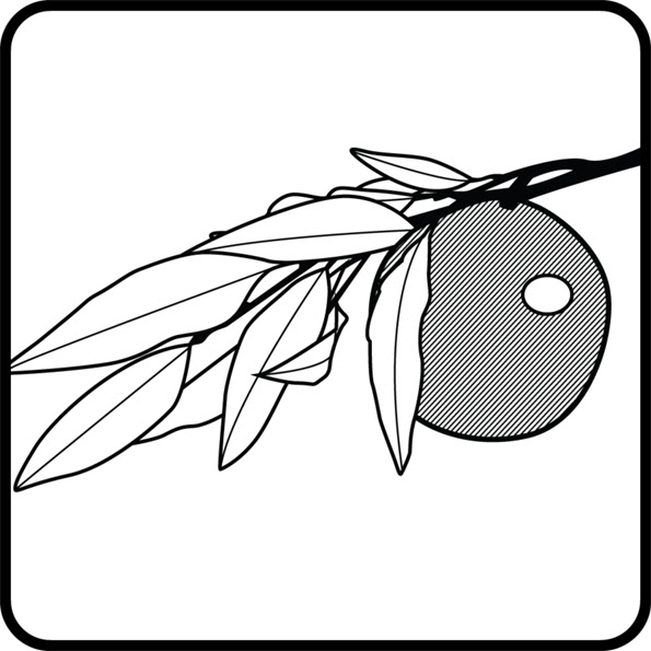 上帝的教導
