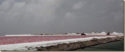 bonaireIMG_5474