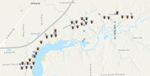 map showing past sightings of cicada broods