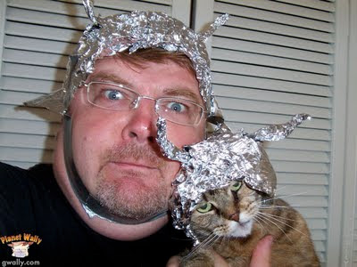 Tin Foil Hat Cat