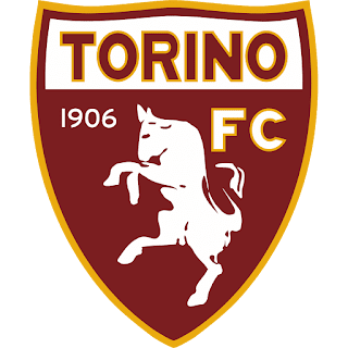 Logo DLS Torino FC