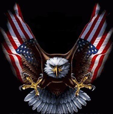 american flag eagle pictures. american eagle and flag