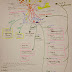 Pituitary Gland Notes