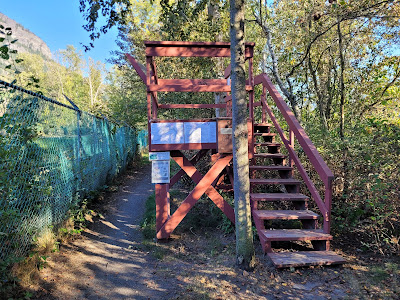 Trans Canada Trail birding platform Castlegar.