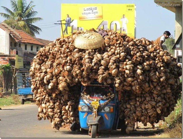 chulbulle exlcusive