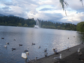 Seagulls, Lost Lagoon, Vancouver