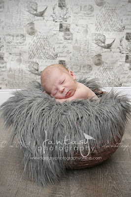 Newborn Photographers in Winston Salem | Clemmons Newborn Photography