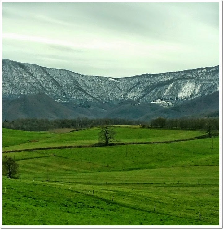 2015-03-26 15.08.24