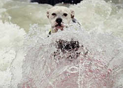 Foto: REUTERS/Lucy Nicholson
