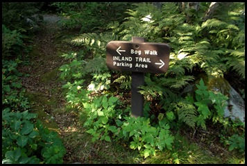 West Quaddy Coastal Trail 275
