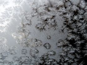 frost flowers on a windshield
