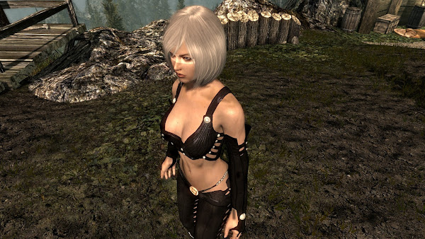 Custom armor for The Elder Scrolls V Skyrim