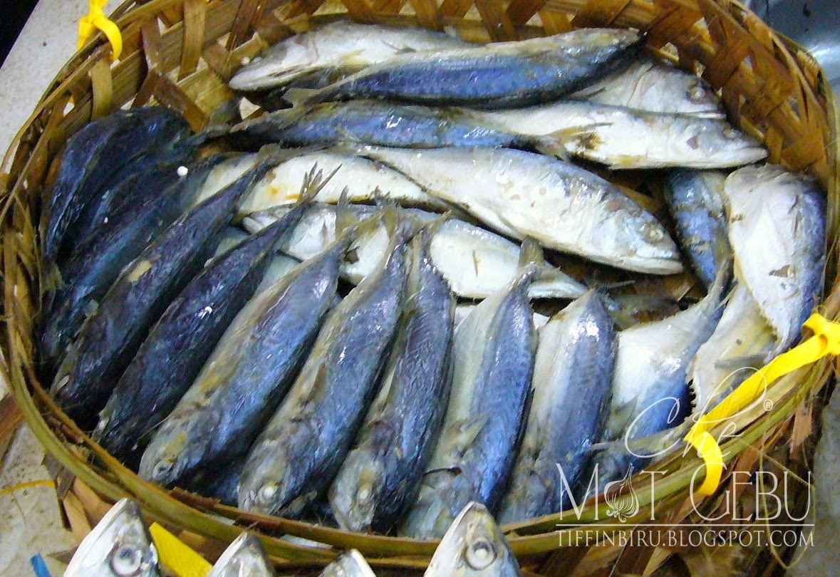 IKAN KEMBUNG KUKUSIPOH MALI PUNYA!.