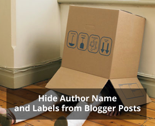 Hide Author Name and Labels from Blogspot Posts