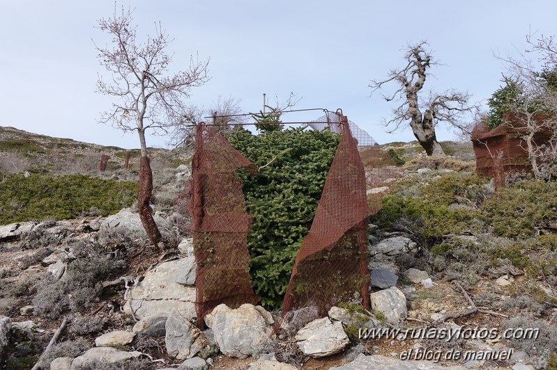 Cañada del Cuerno - Torrecilla - Cañada de las Ánimas