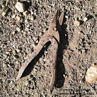 Rusty pair of tin snips lying in the dirt