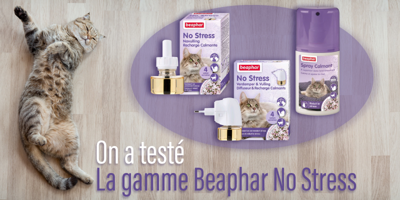  On a testé No Stress la gamme calmante de Beaphar