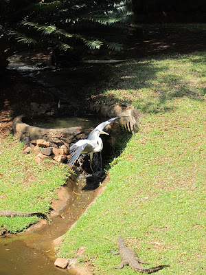 South Africa crane