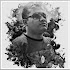 Freelance Digital Marketer