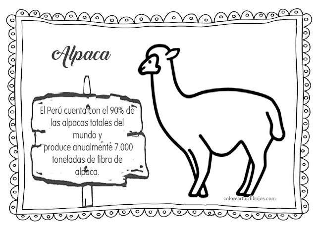  Colorear dibujos de alpaca