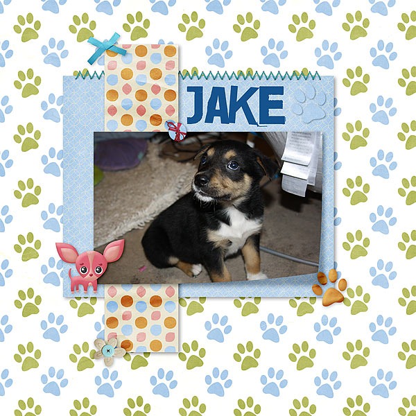 Jake600