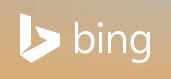 ПОИСКОВАЯ СИСТЕМА BING (Бинг, bing addurl)