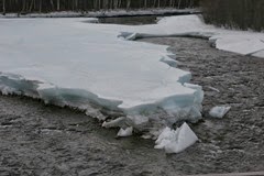 IMG_7968