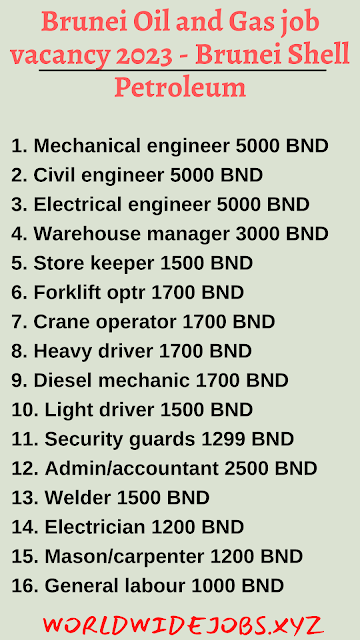 Brunei Oil and Gas job vacancy 2023 - Brunei Shell Petroleum