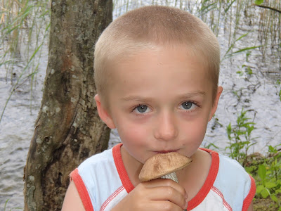 Mazury, żeglowanie, Mikołajki, koźlarz babka, Leccinum scabrum, żagiew łuskowata, Polyporus squamosus, pieczarka, czernidłak, Coprinus