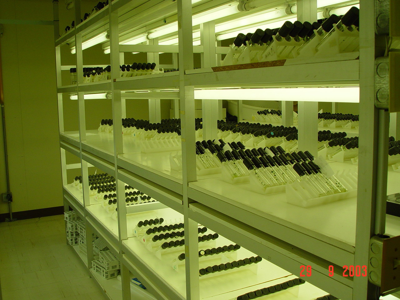Download this Plant Tissue Culture Laboratory picture