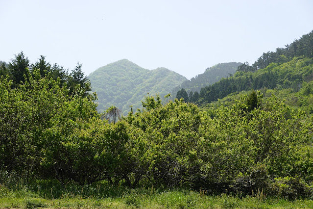 鳥取県西伯郡大山町長田 農道からの眺望 孝霊山