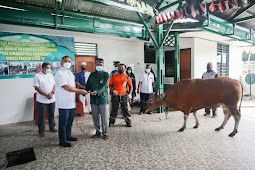 Izak Pangemanan Serahkan Hewan Qurban ke Masjid Ridho Allah Waena