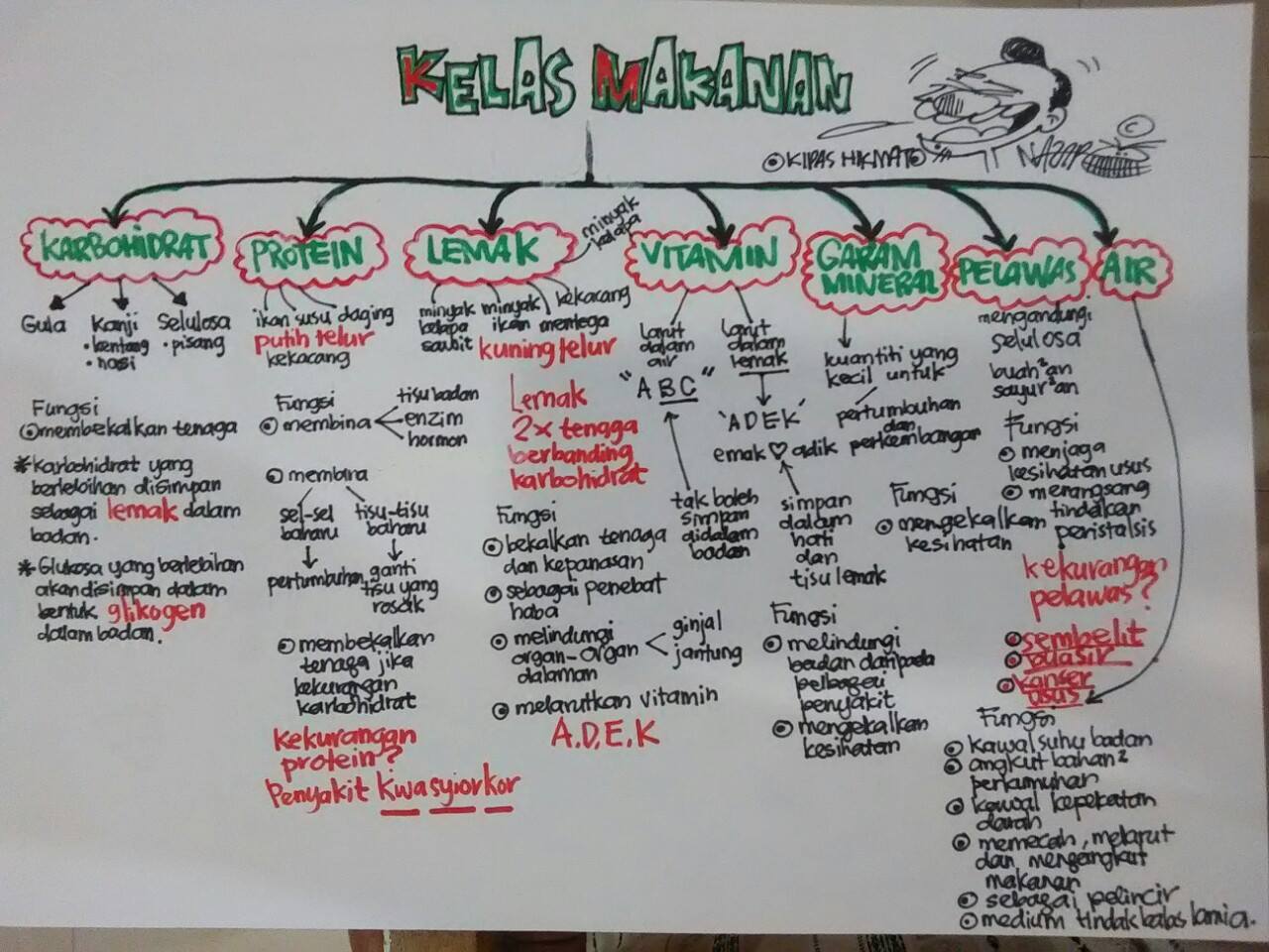 Formula Hikmat Enzim Dalam Sistem Pencernaan Manusia.