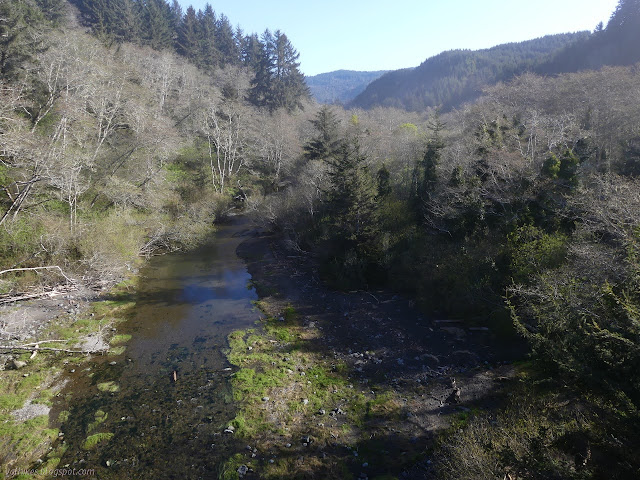 wide, flat creek, nude alders, and distant valley