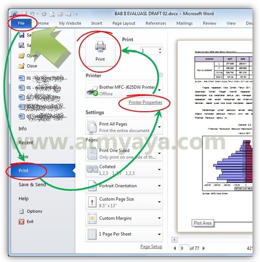  Gambar: Menampilkan dialog printer properties