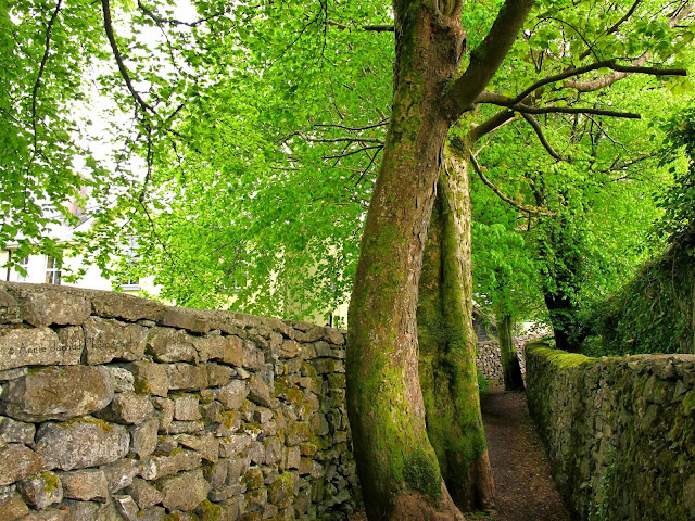 the entrance to the The Waterfall Walk in Oughterard, Galway, Ireland