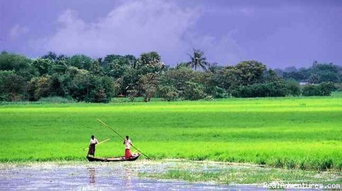 Beauty of Nature: Bangladesh