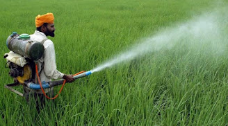 Pesticide in agriculture