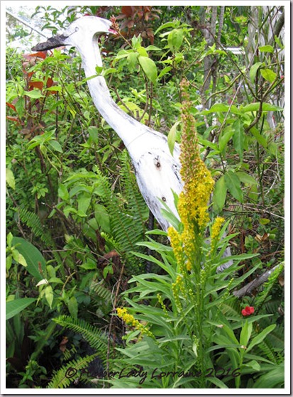 04-29-golden-rod