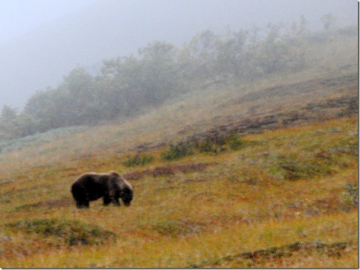 2013_08_Alaska 1028