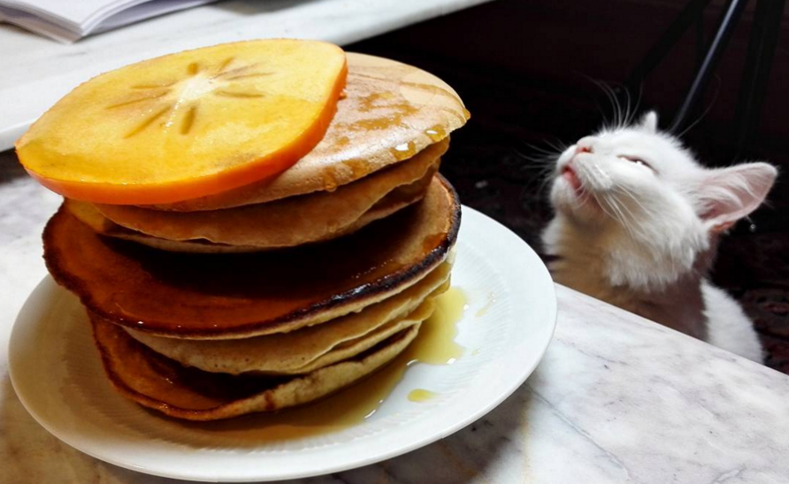 follow me on instagram for recipes