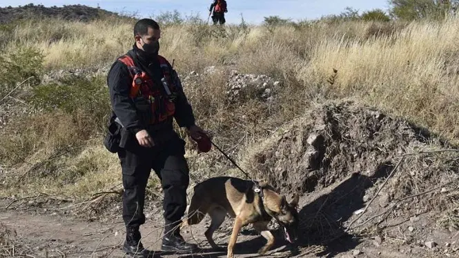 Búsqueda de Guadalupe: una perra marcó una casa y una posible mancha de sangre