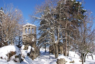 campanile e pioppi