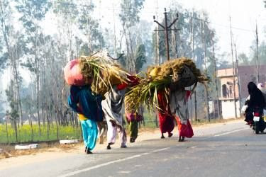 Saatchi Art - Indian woman carrying heavy loads - Prints / Wallart