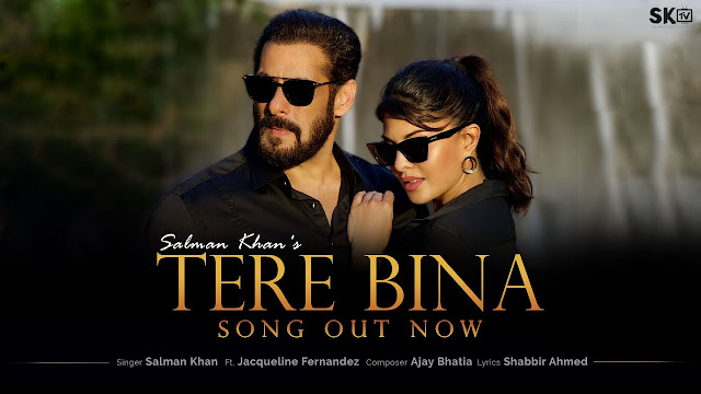 SALMAN KHAN & JACQUELINE FERNANDEZ TERE BINA LYRICS