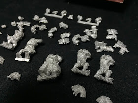 Trollkin Champions Trollbloods Unitphoto
