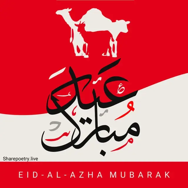 eid  ul adha mubarak urdu and arabic wishes with pic