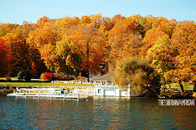 Beautiful Fall Foliage